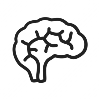Neurosciences